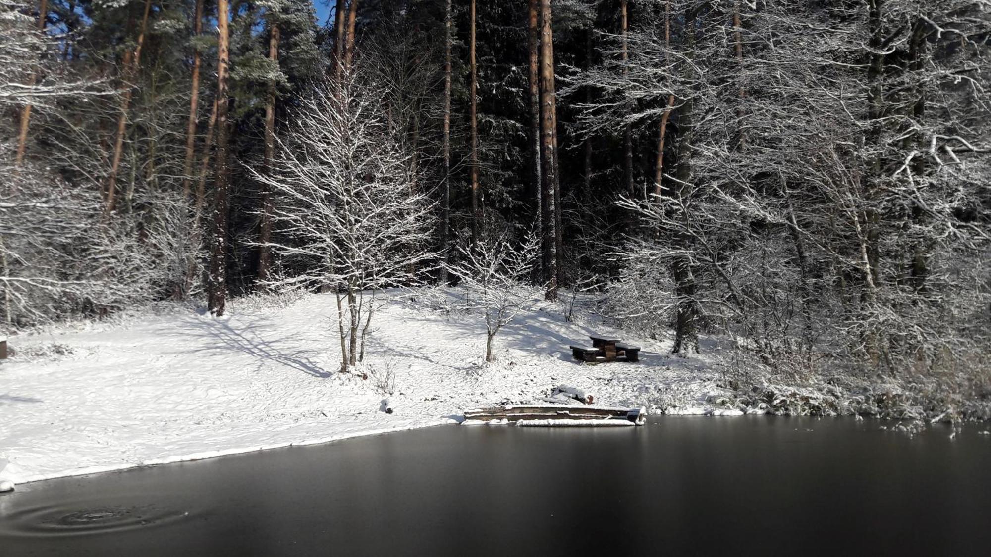 Apartamenty Jezioro i Las Powalczyn Esterno foto