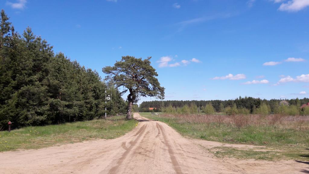 Apartamenty Jezioro i Las Powalczyn Esterno foto